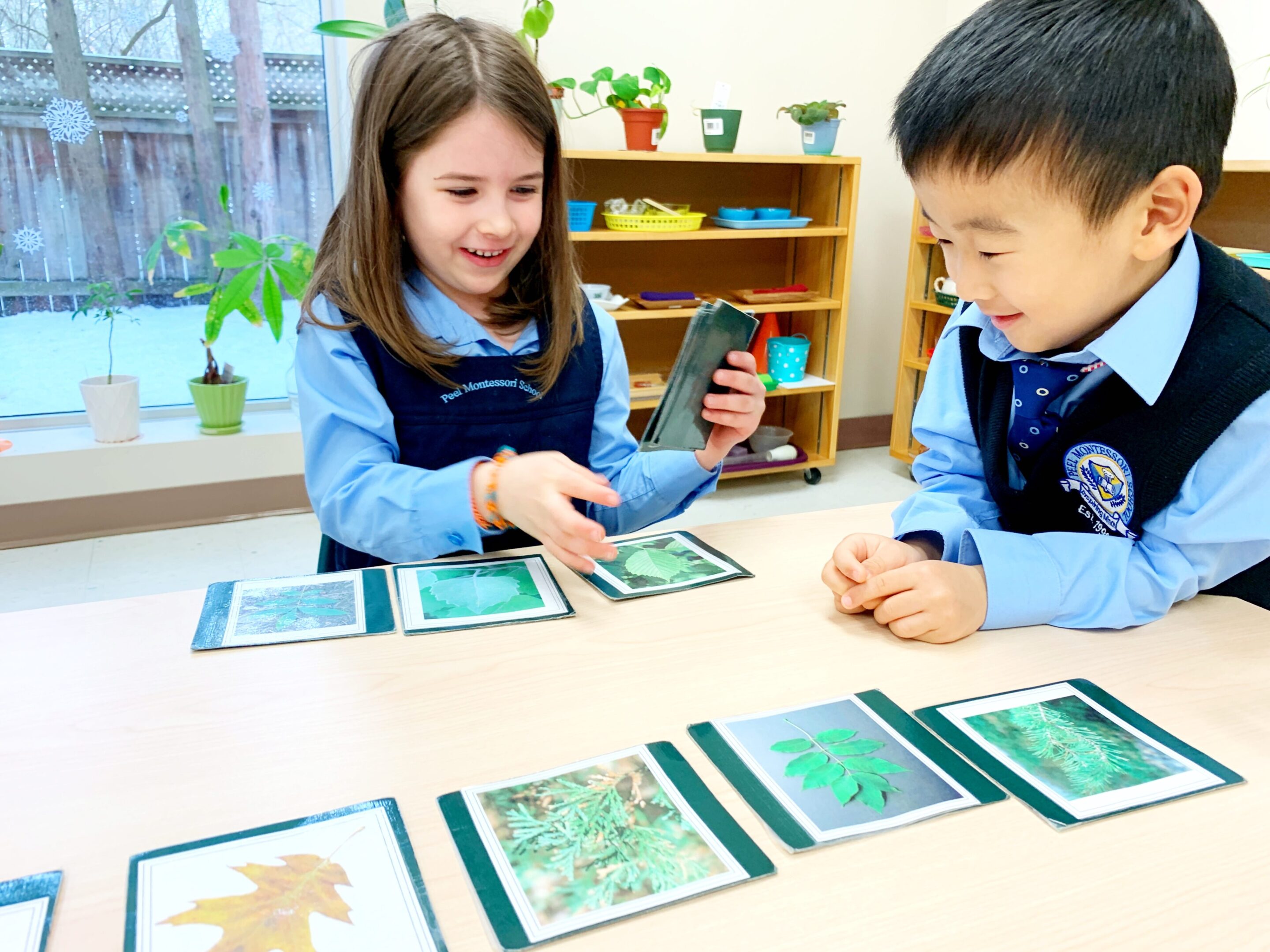 Children learning with nature cards indoors.