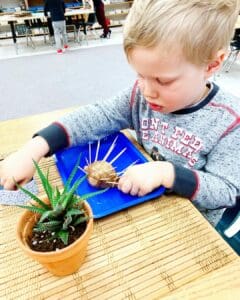 Child crafting with a snail and plants.