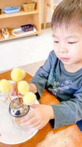 Child playing with yellow pom-poms and jars.