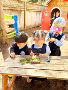 Children playing and exploring nature outdoors.