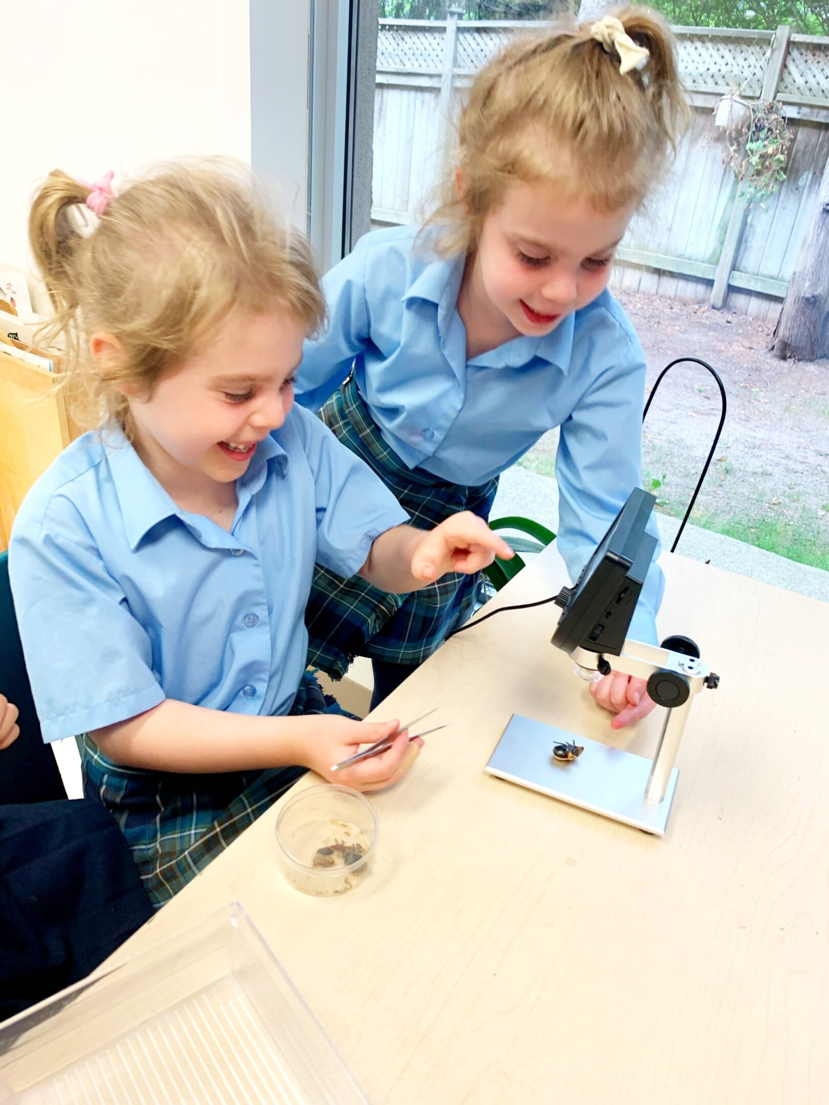 Two girls observing a bug under microscope.