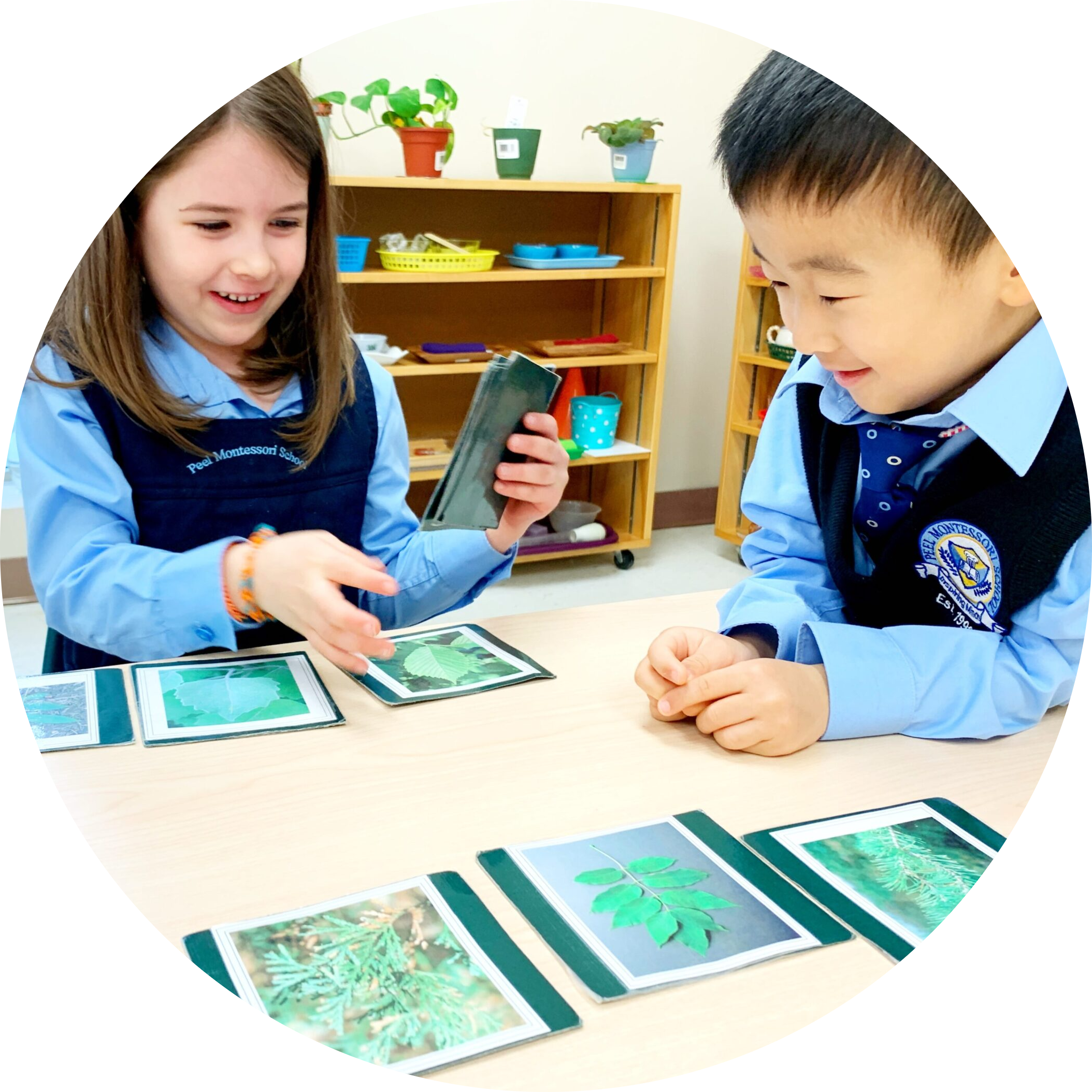 Children exploring nature cards together.