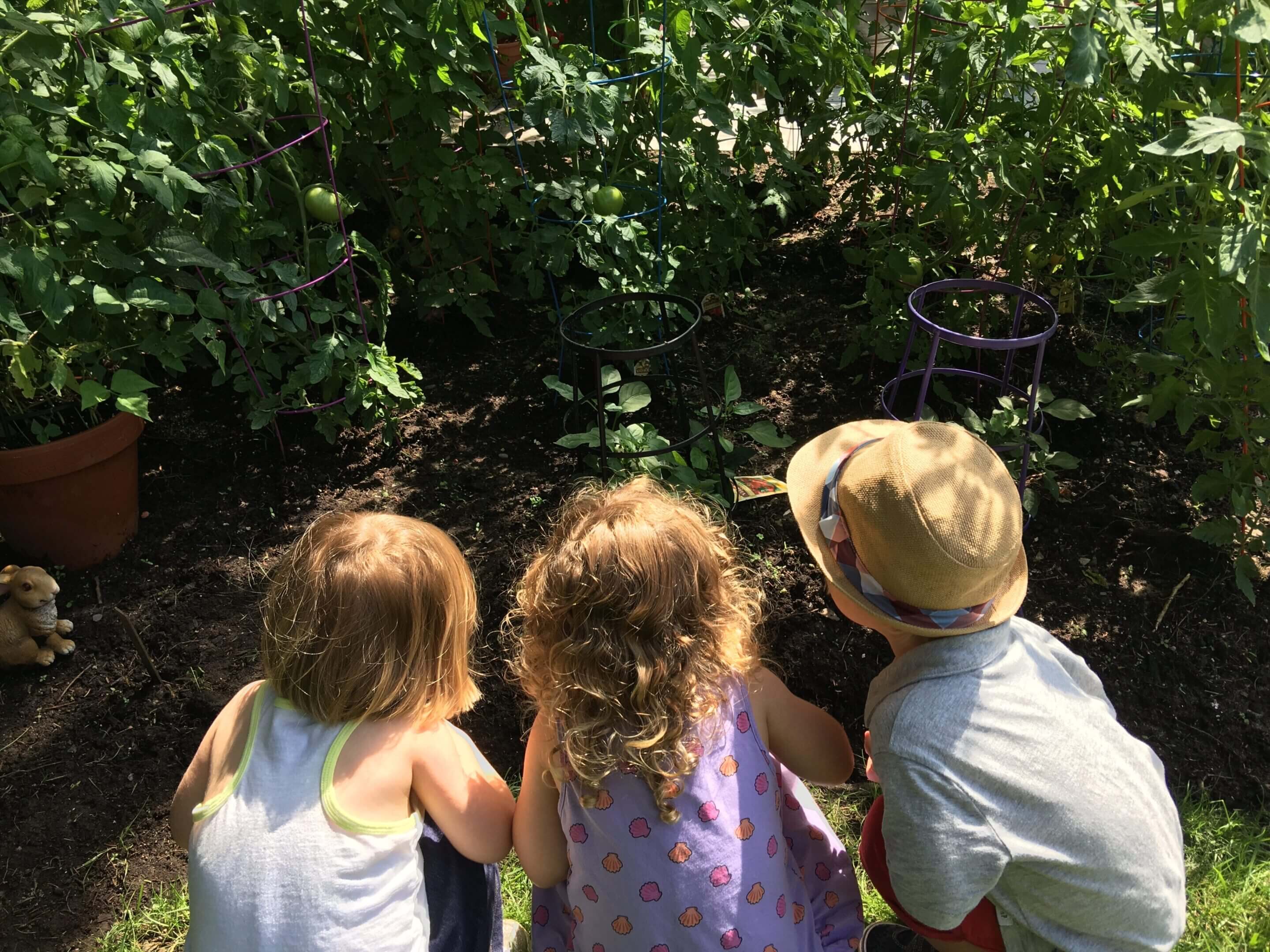 Children observing plants in a garden.