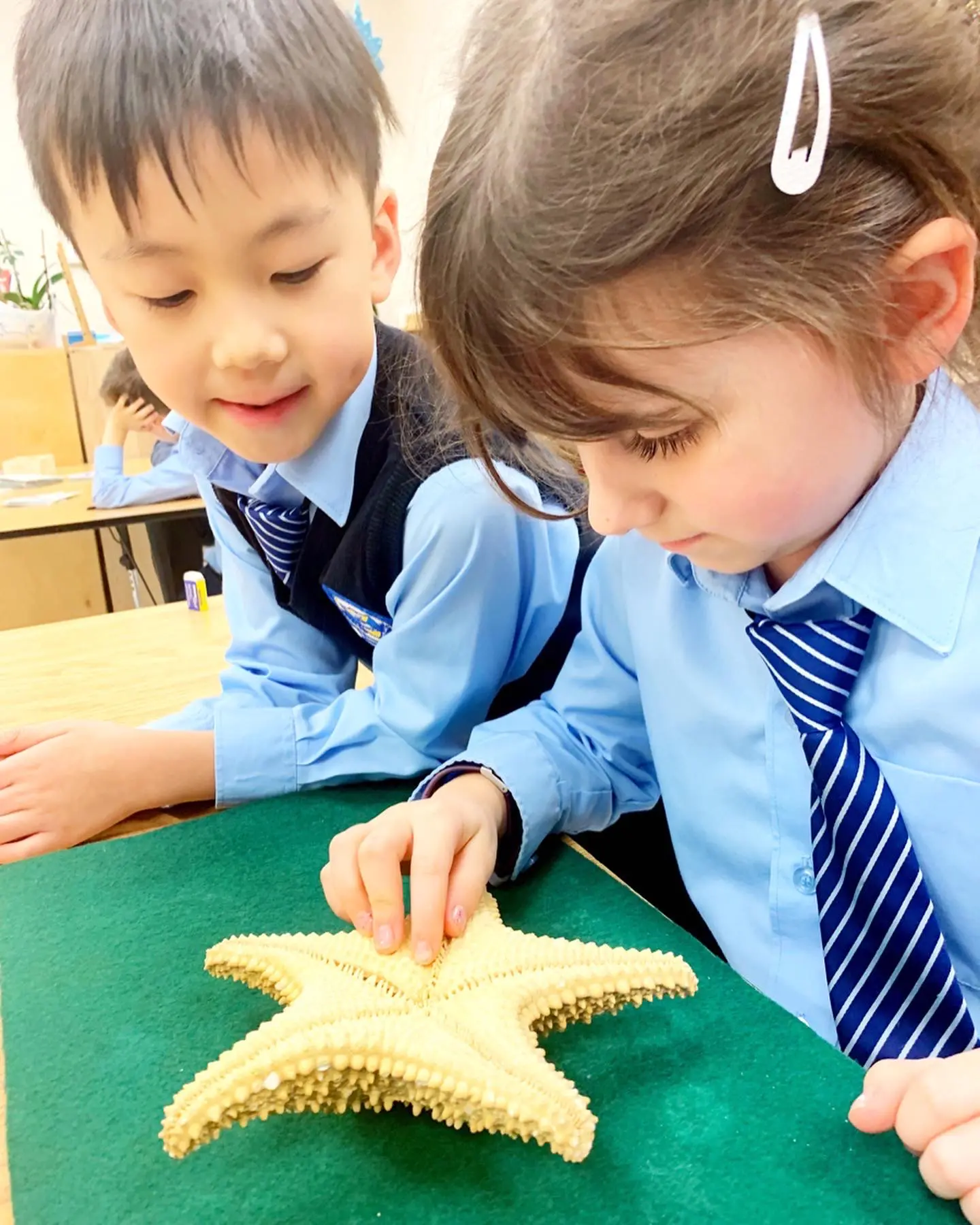 Children studying a starfish in class.