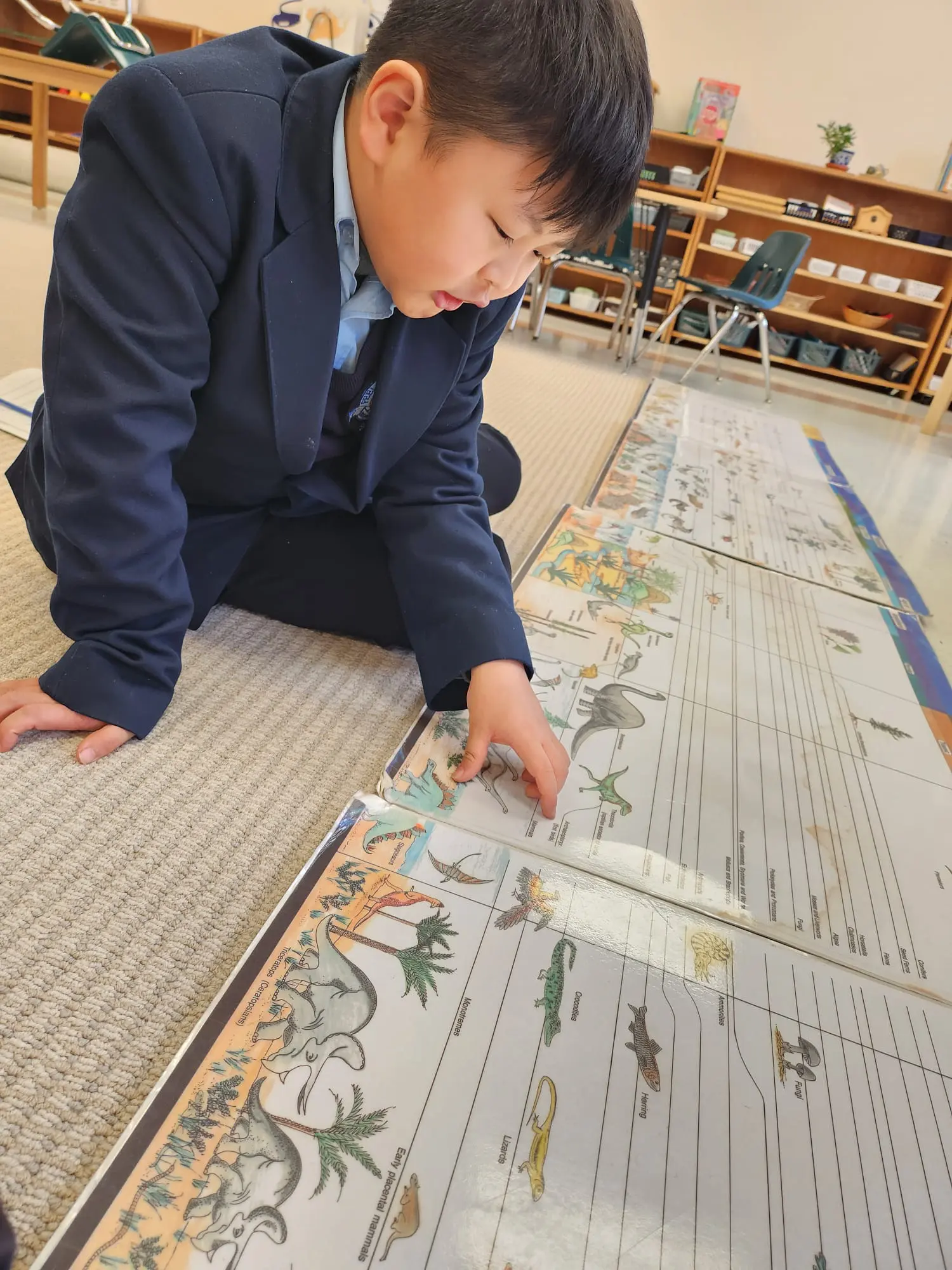 Child studying a dinosaur illustration chart.